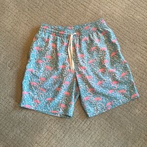 Men’s Chubbies Swim Trunks